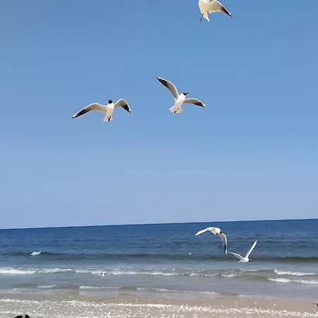 Ostseeoase Zinnowitz Zewnętrze zdjęcie
