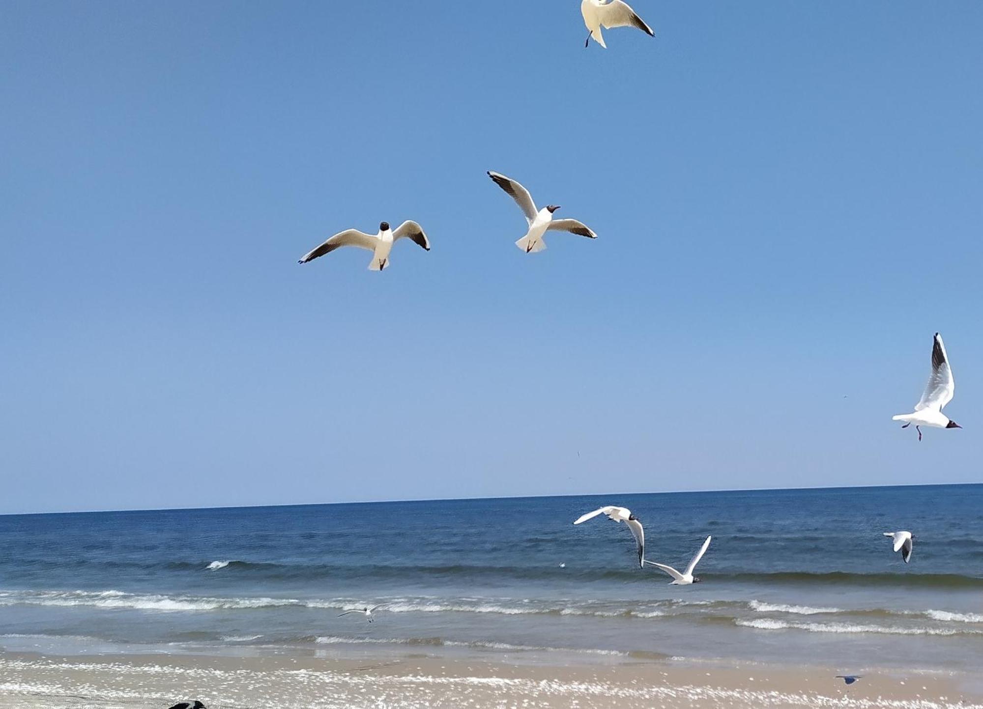 Ostseeoase Ostseebad Zinnowitz